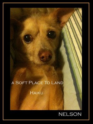 cover image of A Soft Place to Land